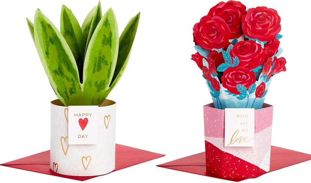 snake plant and roses pop up cards