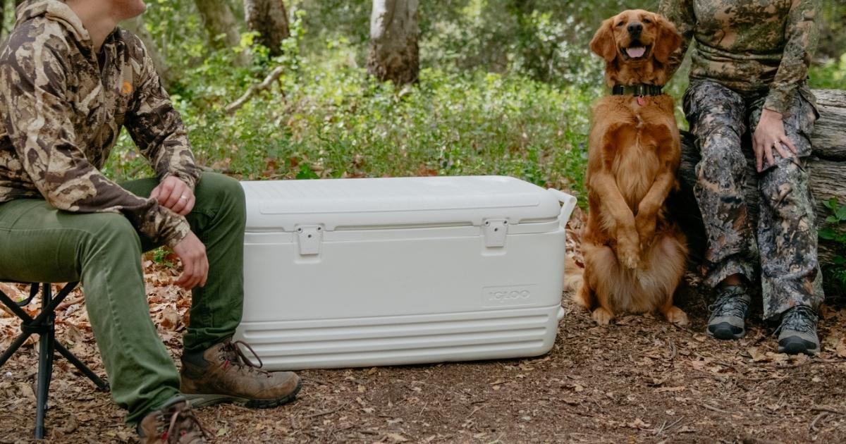 Igloo Polar 120 Cooler with people and dog