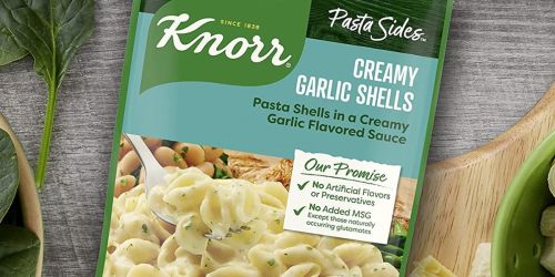 Knorr Pasta Sides 12-Packs Only $10.89 Shipped on Amazon (Only 91¢ Each!)