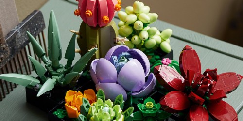 LEGO Succulent Kit or Orchids Only $41.99 Shipped on Amazon | Great Gift Idea