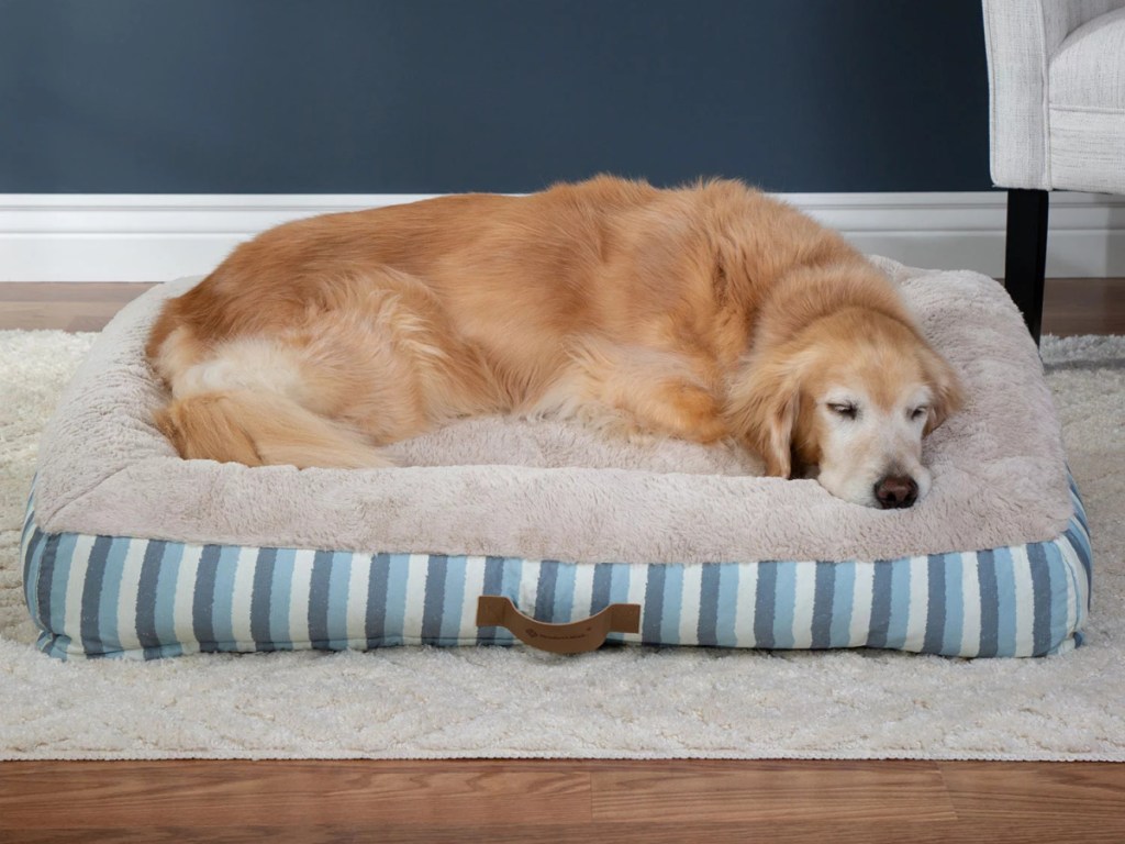 dog laying on gray and blue striped pet bed