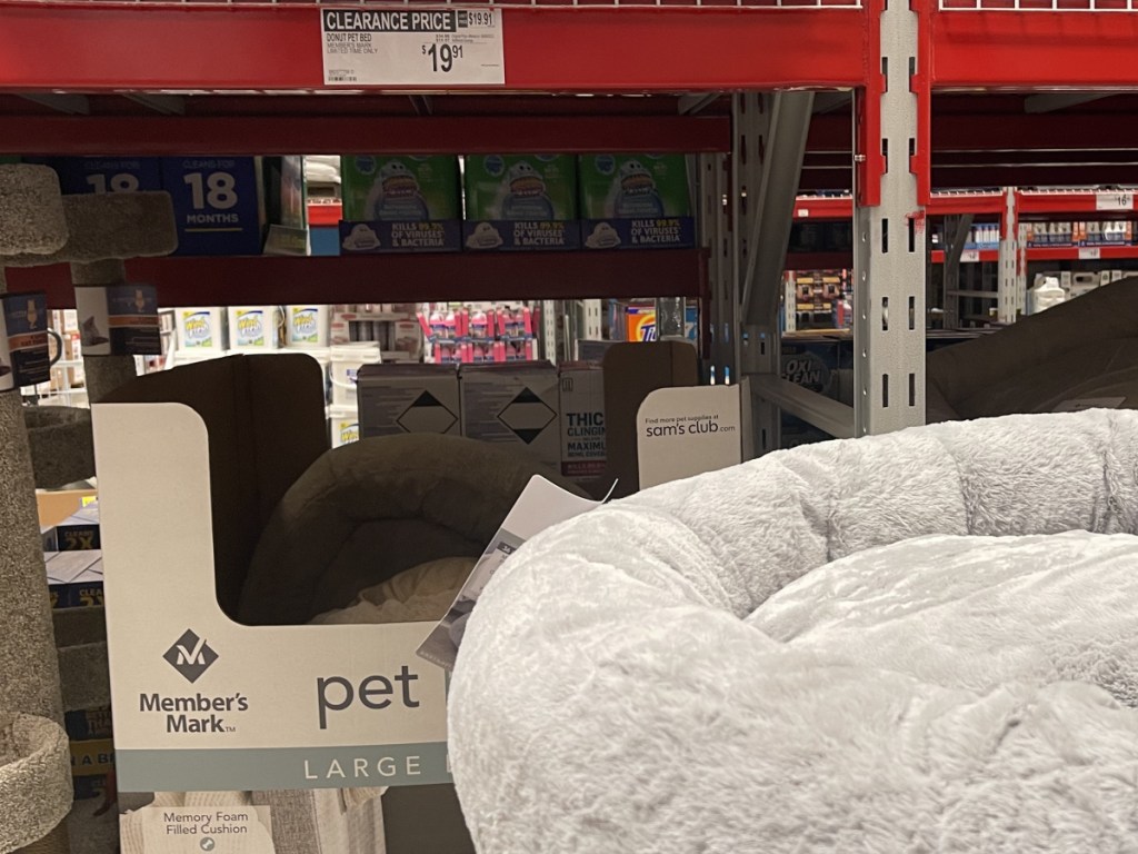 large gray pet bed on sale in store