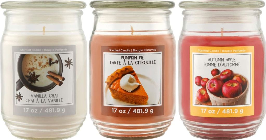 Michaels Candle Making Supplies
 Michaels Ashland Jar Candles ly $2 39 Includes Fall Scents Check