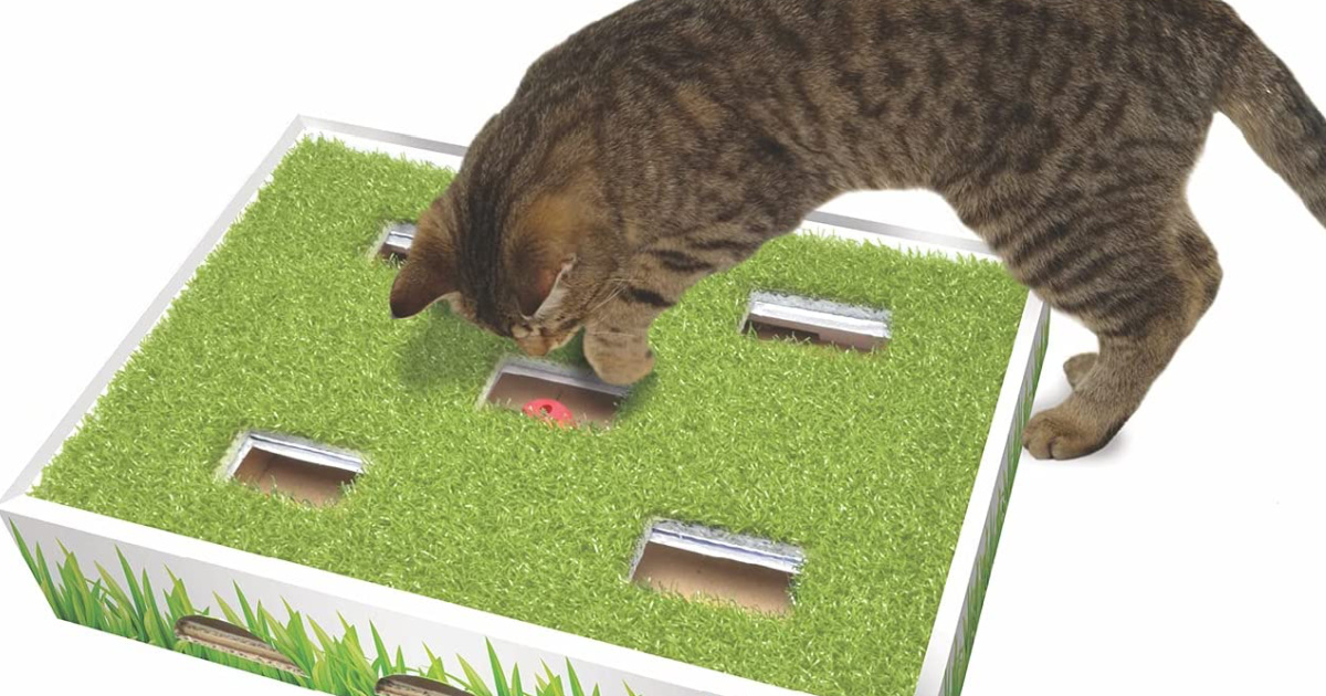 Petstages grass hotsell patch hunting box