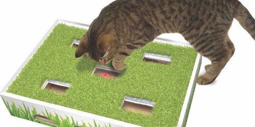 Petstages Cat Scratcher Hunting Box Just $12.99 on Amazon (Regularly $22)