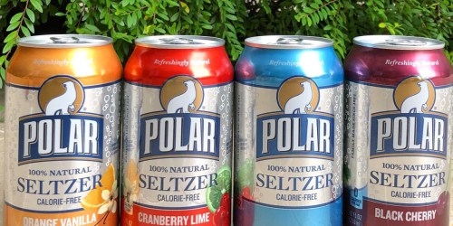 Polar Seltzer Water 24-Pack From $9.71 Shipped on Amazon (Only 40¢ Per Can)