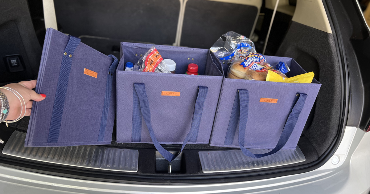 Reusable grocery bags in trunk