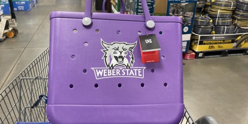 Logo Brand NCAA Tote Only $79.98 at Sam’s Club (In-Store & Online) – Awesome Bogg Bag Dupe!