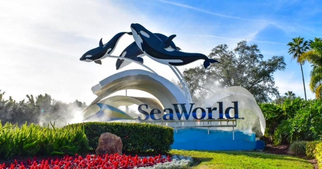 seaworld sign with whales jumping