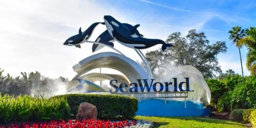 FREE SeaWorld Unlimited Admission Pass for Teachers