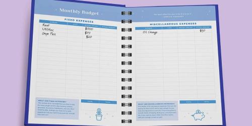 Stress Less, Spend Less Budget Planner Only $3.36 on Amazon (Regularly $15)