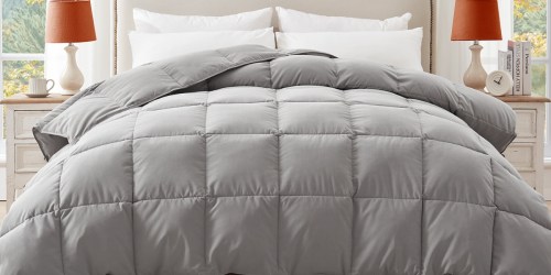 60% Off Cotton Down Comforters + Free Shipping on Amazon | Lightweight & Machine Washable!