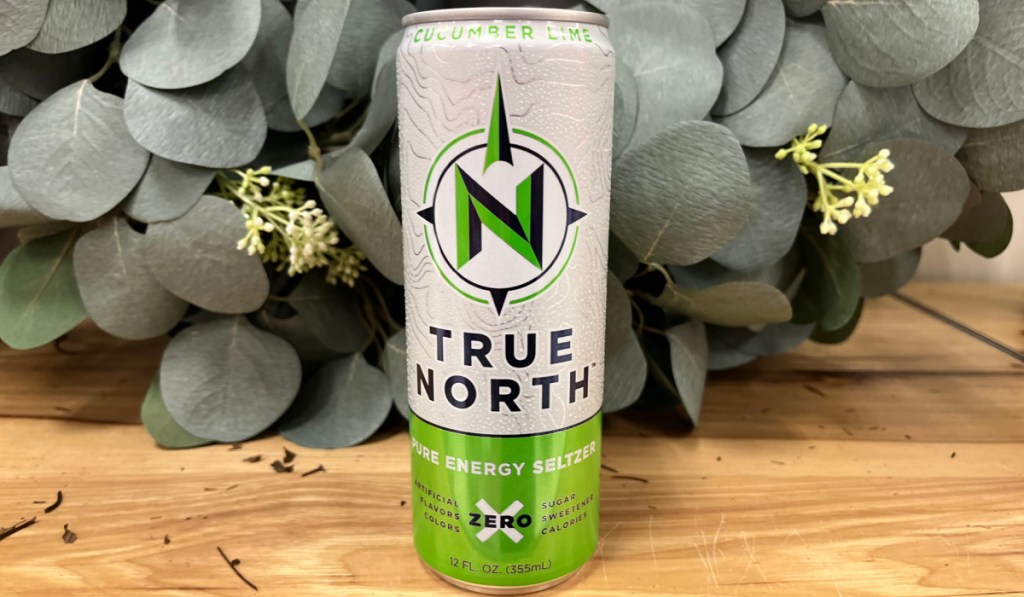 True North Energy Seltzer Drink Only 1 at Target (Zero Calories & No