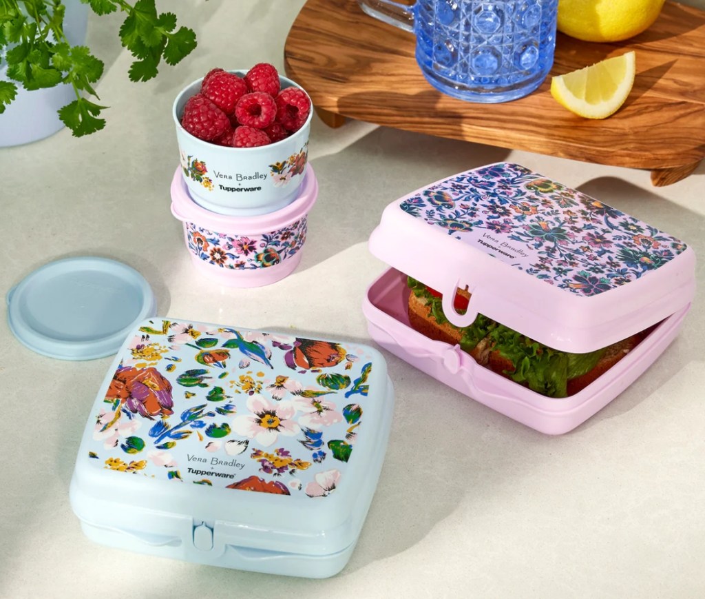 Vera Bradley Tupperware Sets with food in them