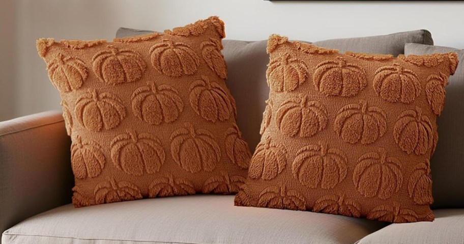 two rust colored pumpkin themed throw pillows on a couch