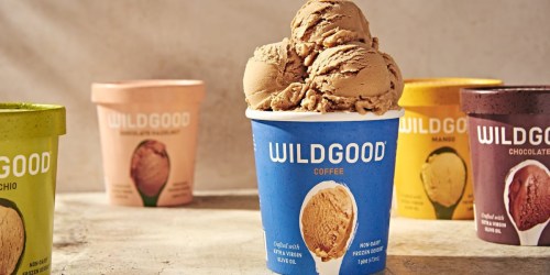 FREE Wildgood Ice Cream Pint After Rebate (Non-Dairy & 100% Plant-Based)