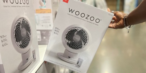 Woozoo 5 Speed Fan w/ Remote Just $29.99 at Costco (Regularly $40) – Great for College Dorms!