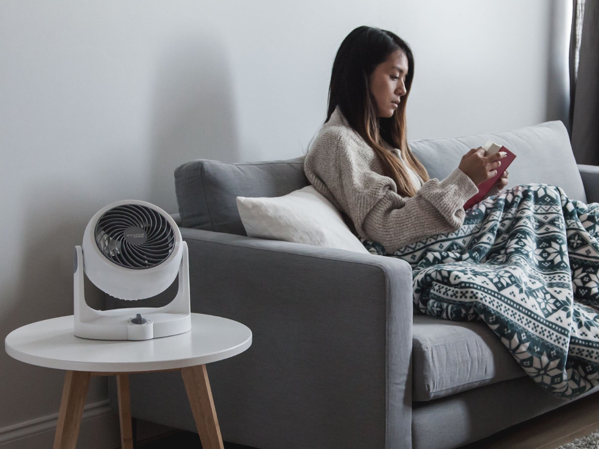 Woozoo Air Circulator Fan Only $19.99 