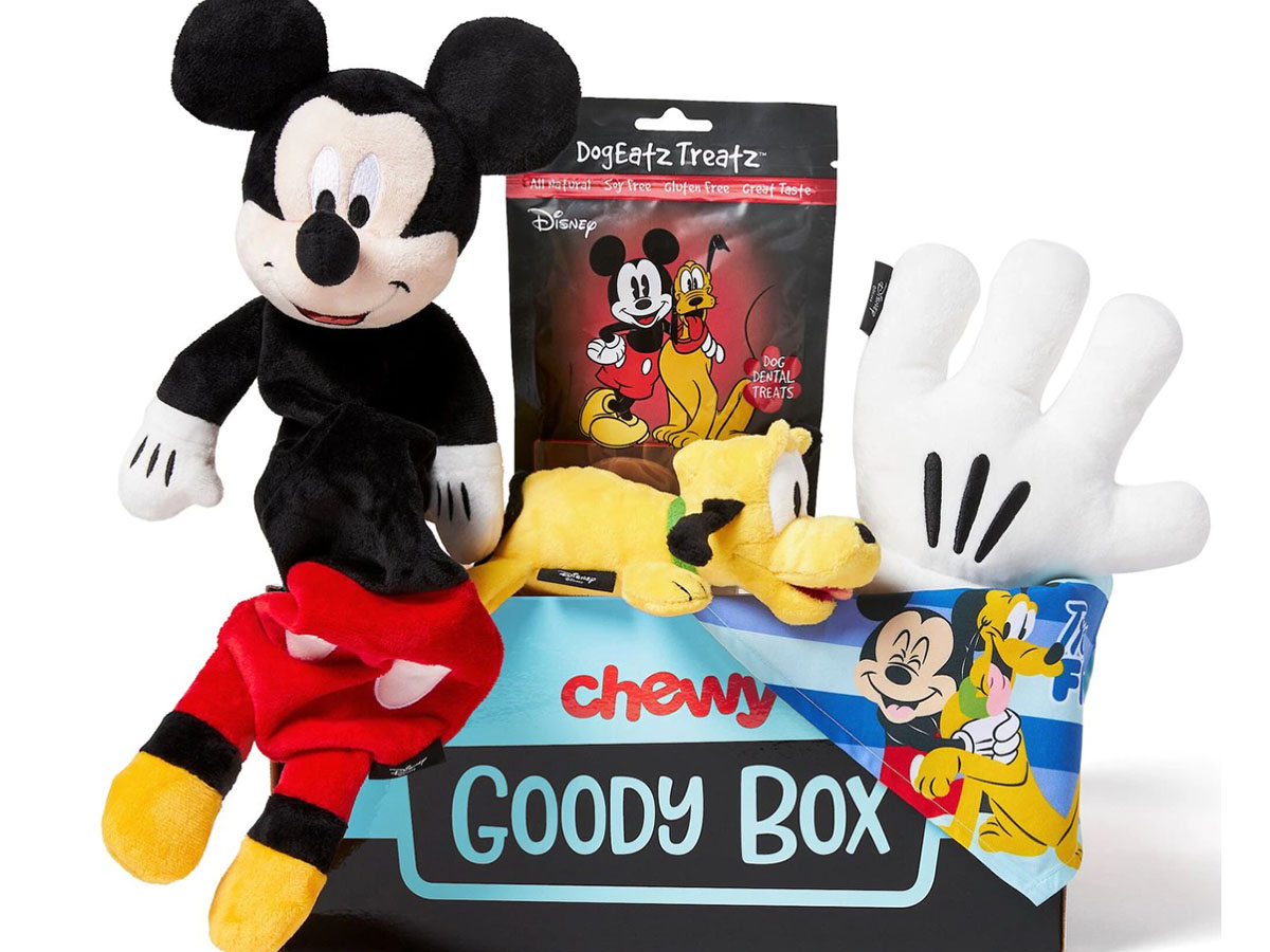 Disney Chewy Goody Boxes Only 14.99 Regularly 53 Includes