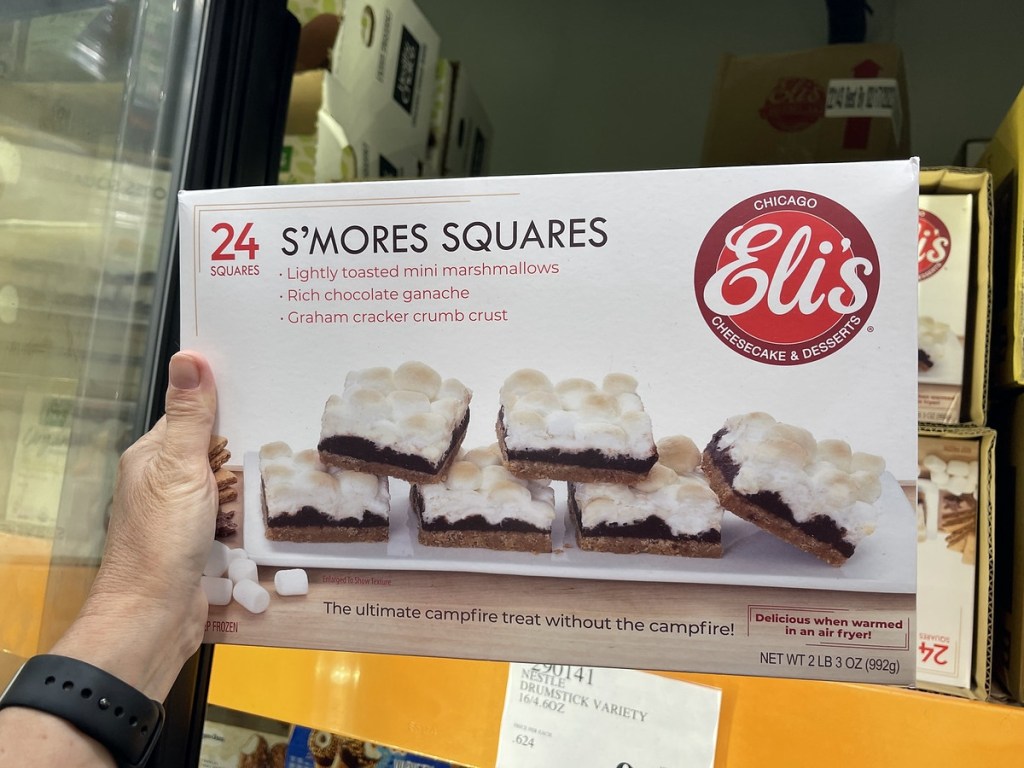 holding a box of frozen s'mores squares