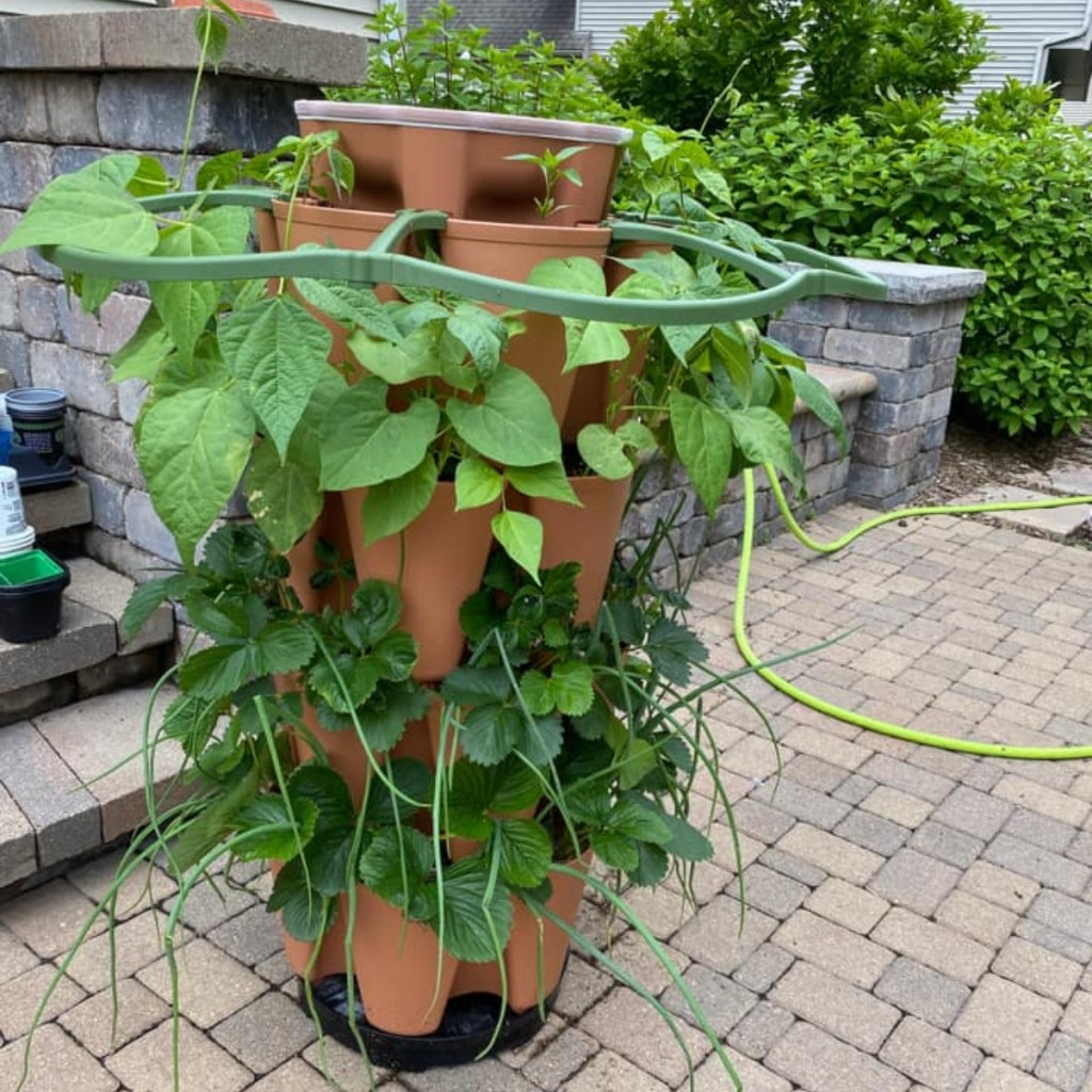 vertical planter on stone patio