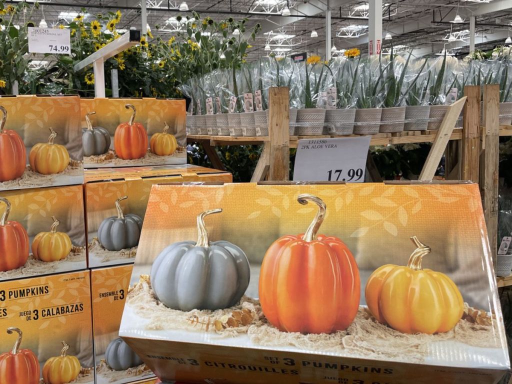 Costco Halloween Decor is Here 60 Off HUGE 10Foot Reaper Skeleton