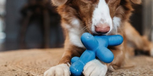 Squeaky Balloon Dog Toys Only $3.99 on Amazon (Regularly $9)