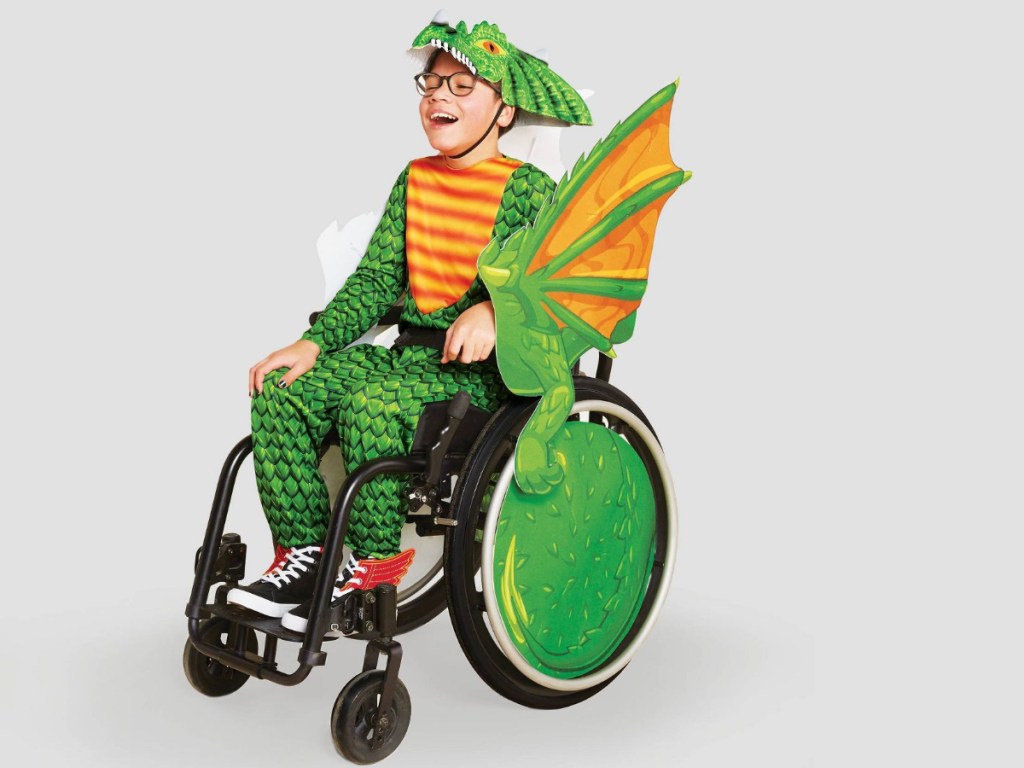 Dragon Wheelchair Cover