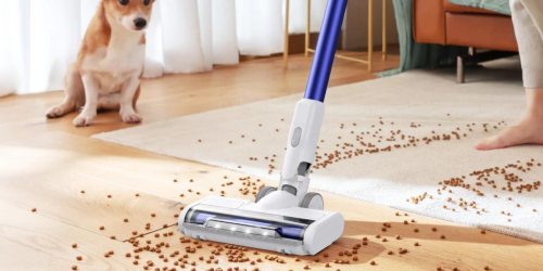 Eufy HomeVac Cordless Stick Vacuum w/ Extra Battery Pack Only $189.99 Shipped (Regularly $300)