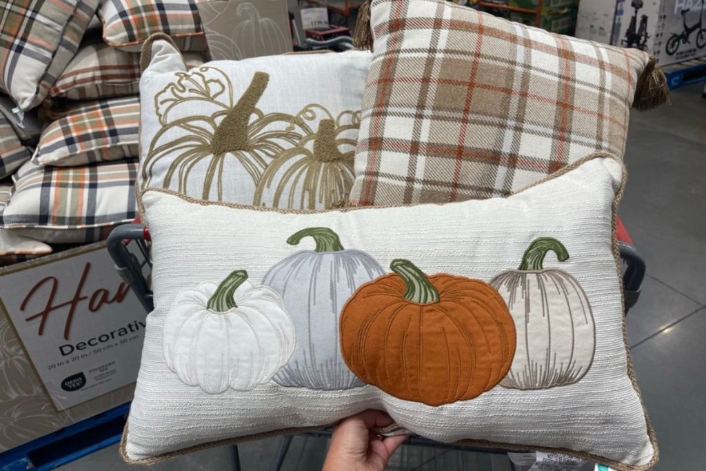 Fall throw pillows at costco