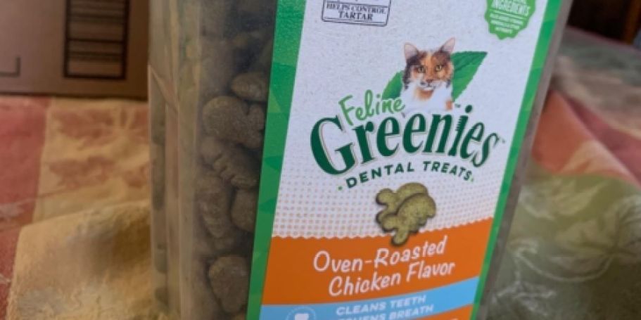 Greenies Dental Cat Treats 9.75oz Only $5.59 Shipped on Amazon (Reg. $11)