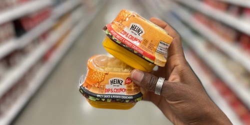 Heinz Dip & Crunch Cups Only $1.27 After Cash Back at Target | Dip Your Burger Into Secret Sauce or Spicy Sauce!