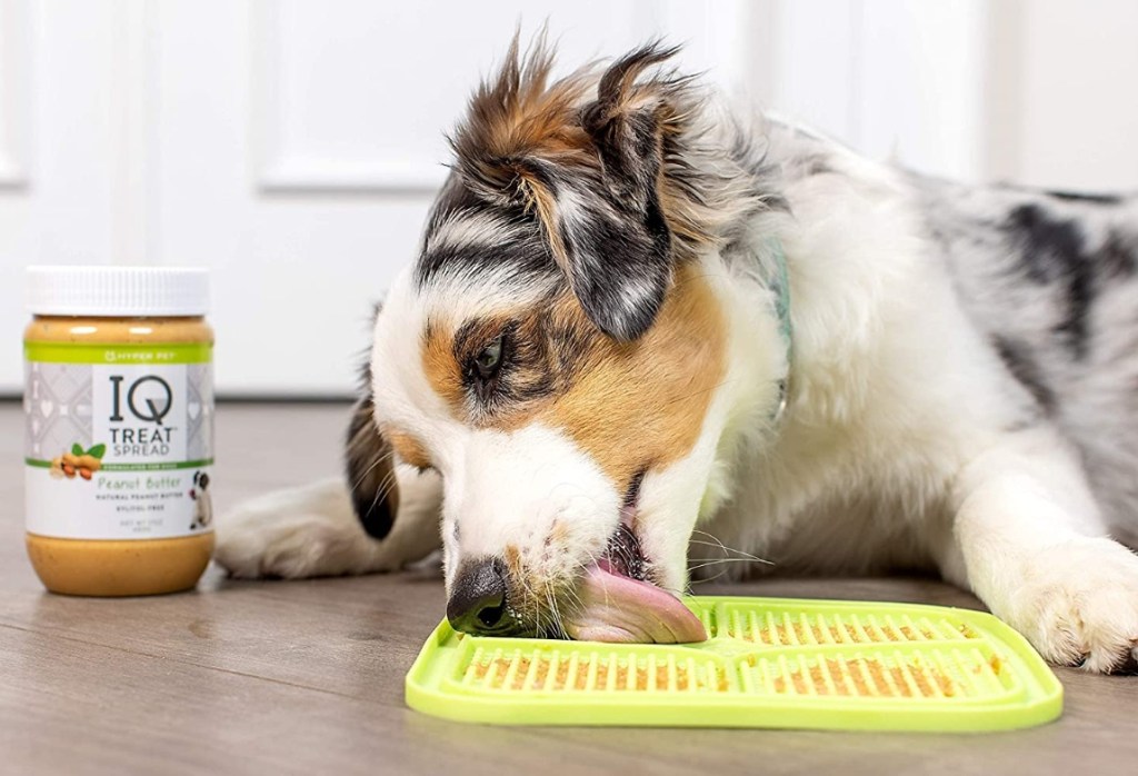 dog licking a Hyper Pet IQ Mat