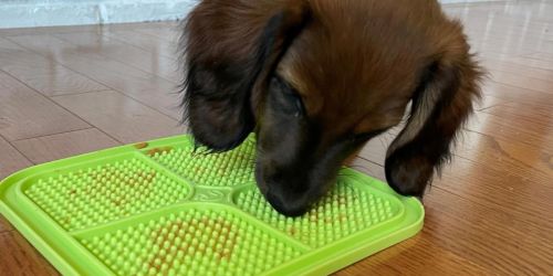 Hyper Pet Treat Lick Mats 2-Pack Only $8 on Amazon or Chewy.com (Regularly $28)