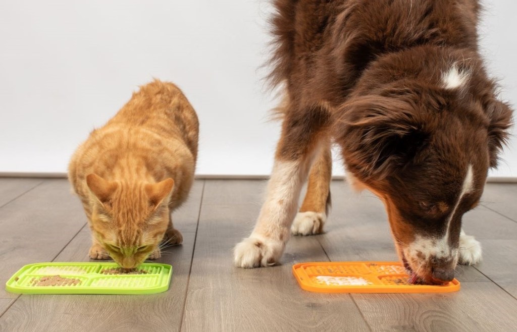dog and cat licking a mat