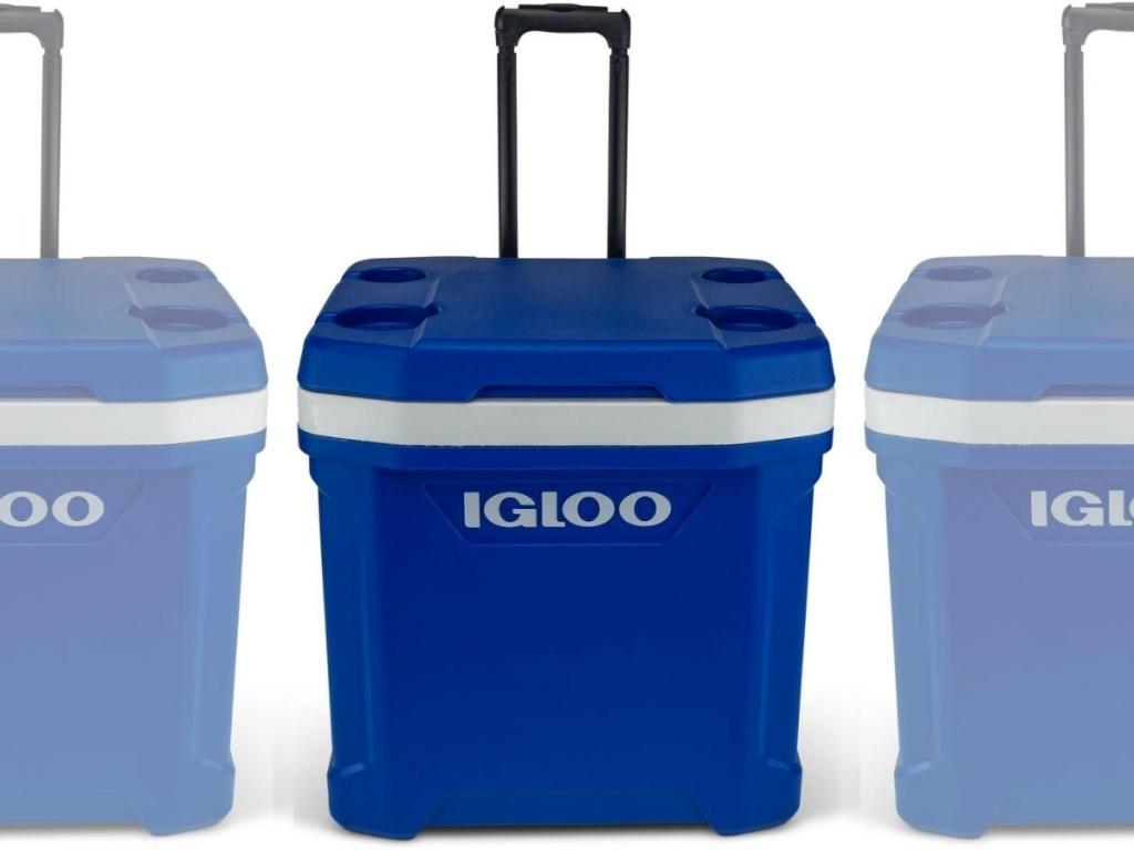 Igloo Latitude 60-Quart Roller Cooler, Blue