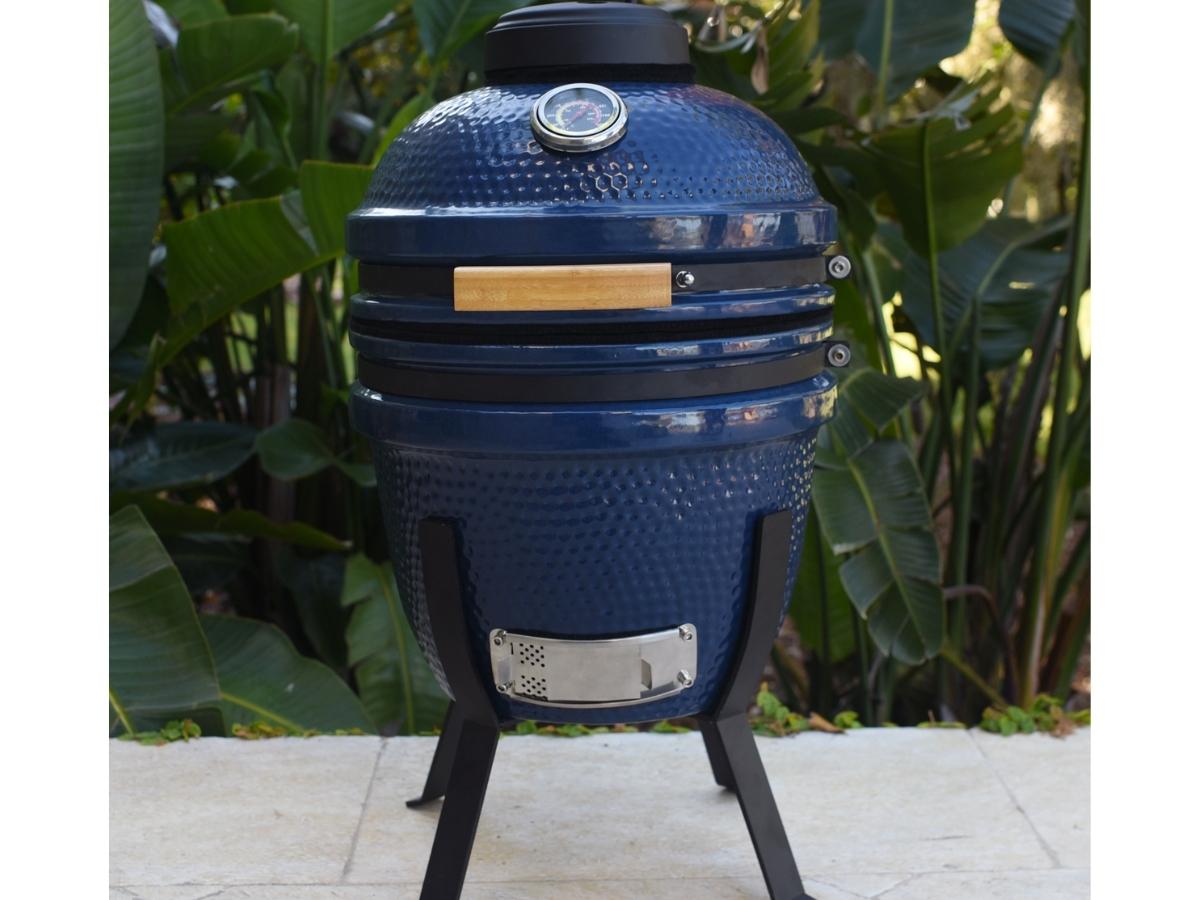 navy blue Lifesmart Kamado Grill sitting on the sidewalk in front of some greenery