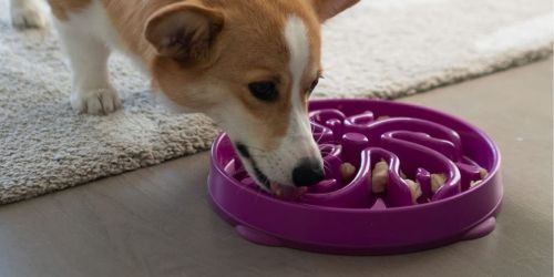 Outward Hound Fun Feeder Dog Bowls from $5 on Amazon (Reg. $16) | Improves Digestion!
