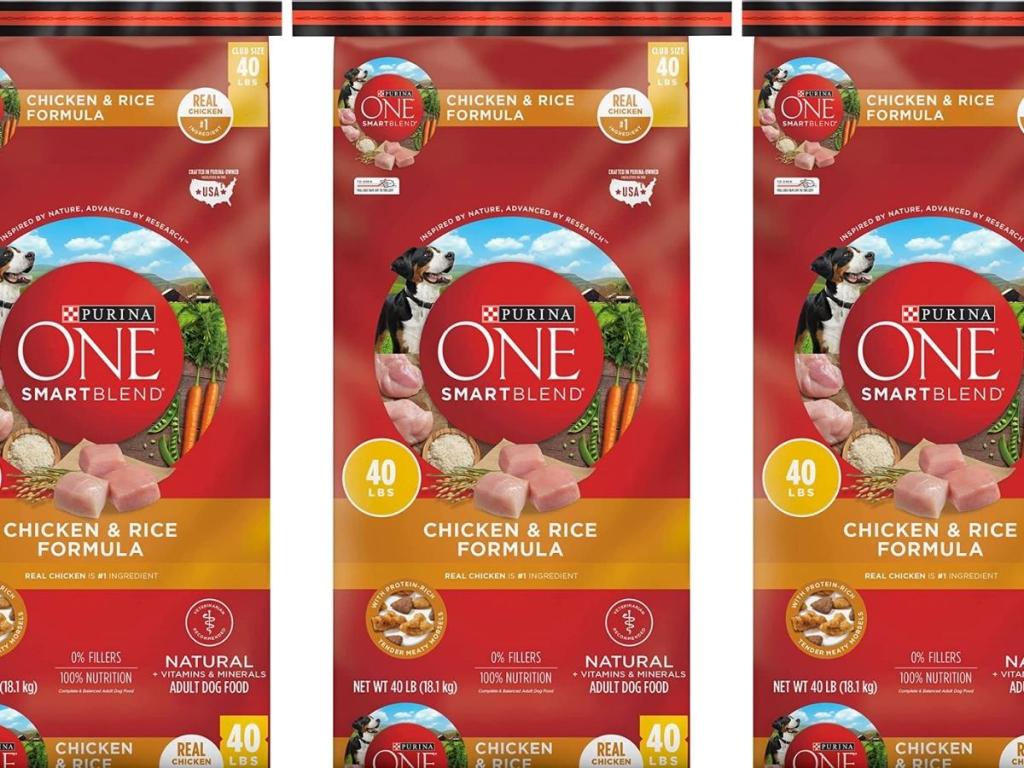 Purina ONE SmartBlend Chicken & Rice Natural Dry Dog Food 40-Pound Bag