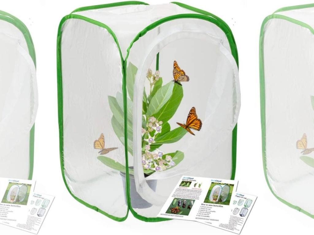 RestCloud Insect and Butterfly Habitat Cage Terrarium