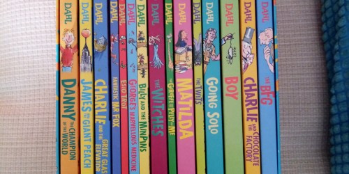 Roald Dahl 16 Book Collection Just $14.99 Shipped on Costco.com (Regularly $35)