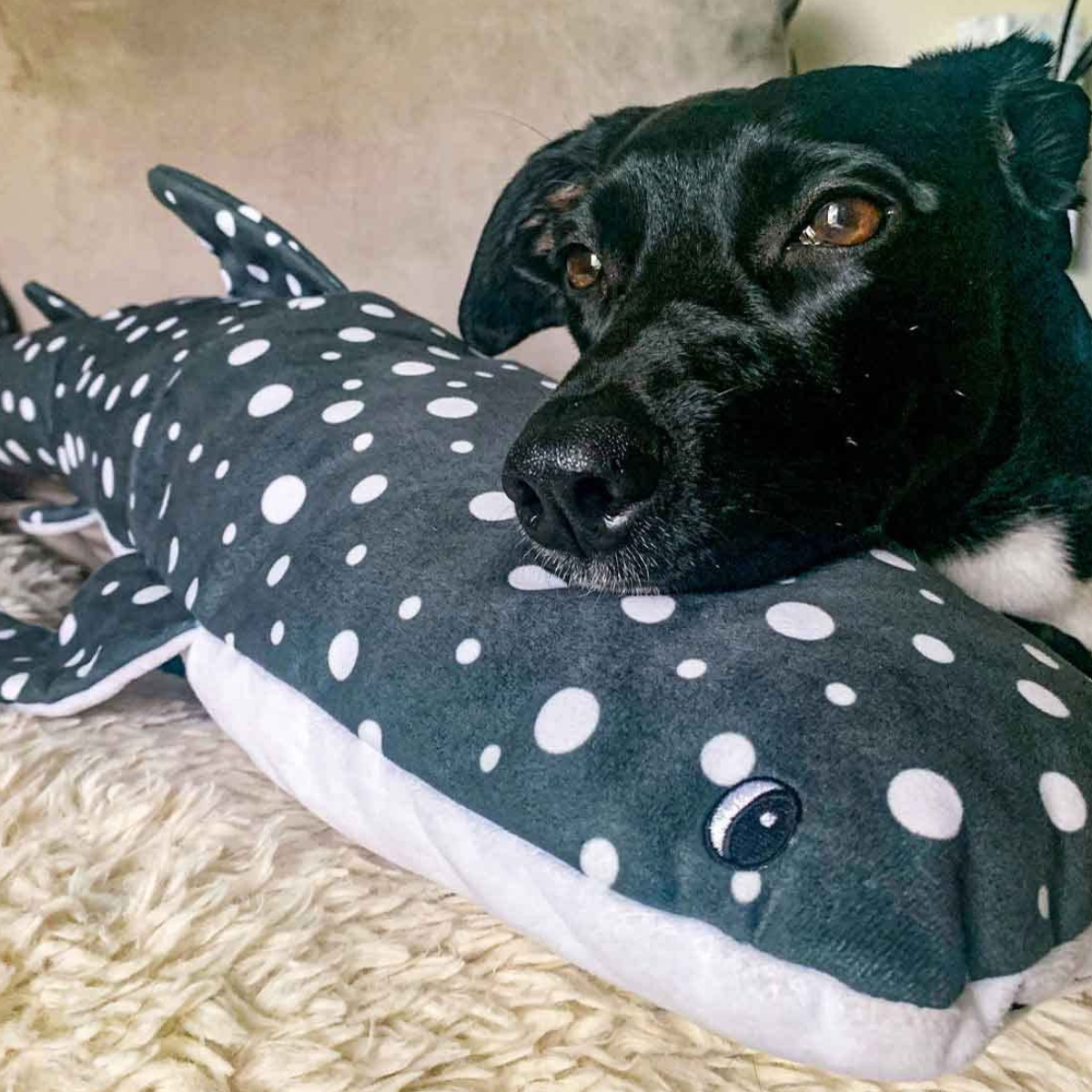 Snuggle Puppy Tender-Tuffs Big Shots - Plush Whale Shark