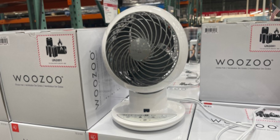 WOOZOO 5-Speed Fan w/ Remote Just $34.99 Shipped on BestBuy.com (Reg. $60)