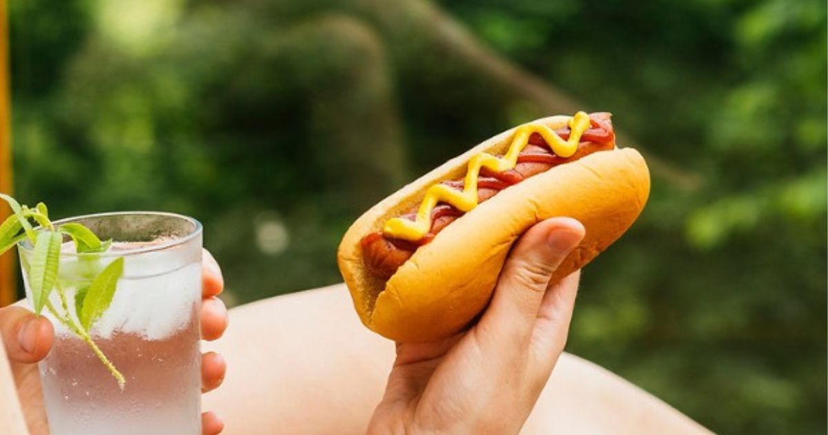 hand holding hot dog