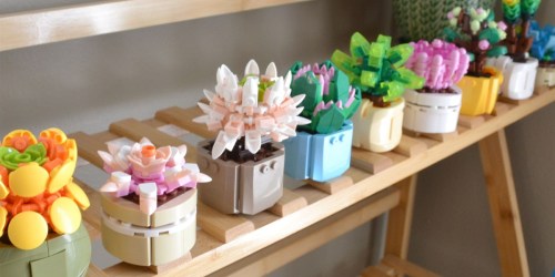 Building Block Succulent Sets Only $11.88 Shipped (Cute Hands-On Gift Idea!)