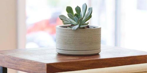 Up to 60% Off Home Depot Planters | Indoor Ceramic Pot Only $4.98 (Regularly $13)