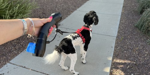 Ergonomic Dog Leash w/ Flashlight & Poop Bag Dispenser Only $17 on Petsmart.com (Regularly $35)