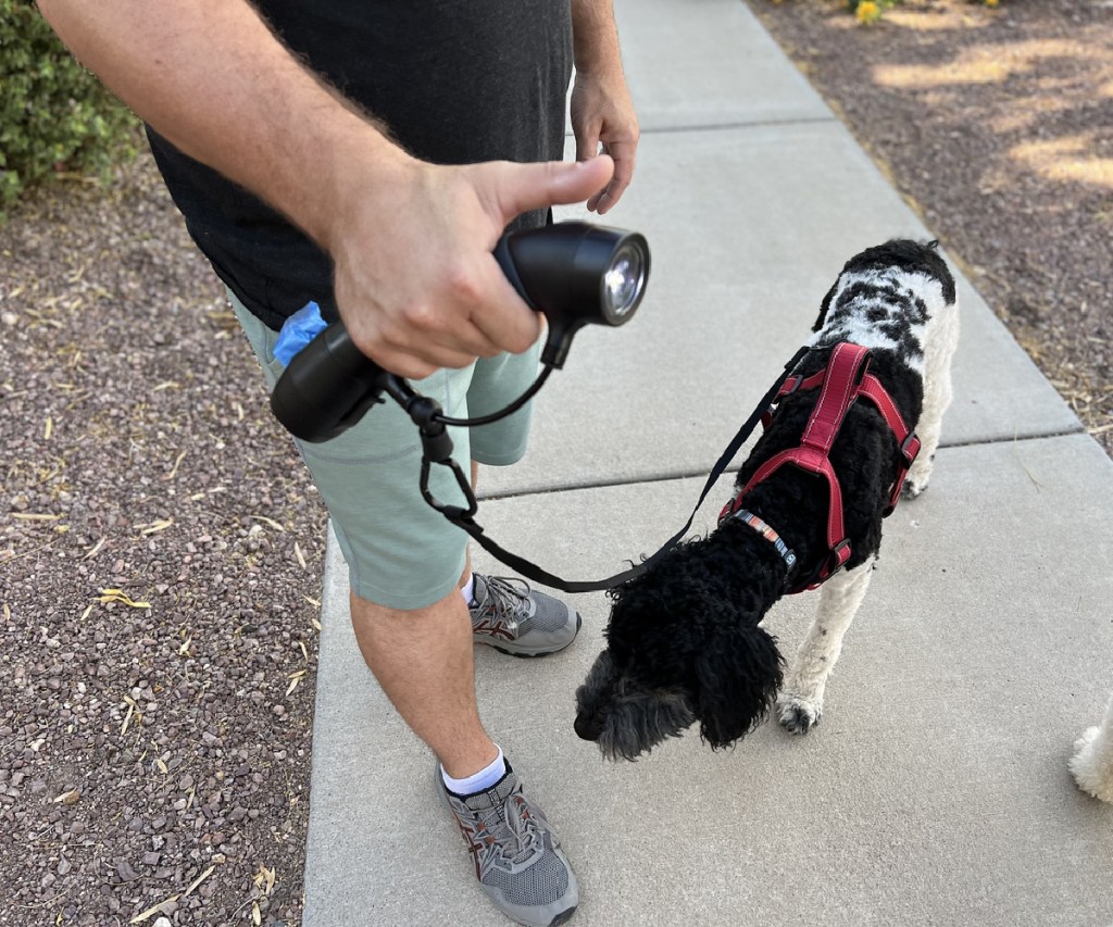 man walking a dog with a gismo leash with flashlight