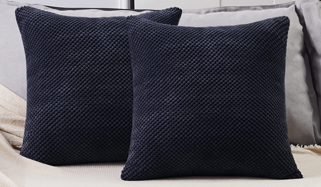 two navy pillows