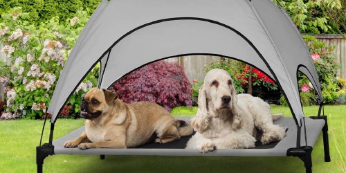 Elevated Dog Cot w/ Canopy $19.97 Shipped for Costco Members (Keep Pets Off Wet/ Snowy Ground)